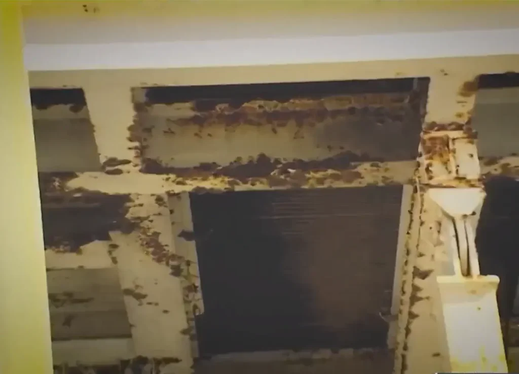 Government by AI in Miami-Dade: the parody that exposes political inefficiency