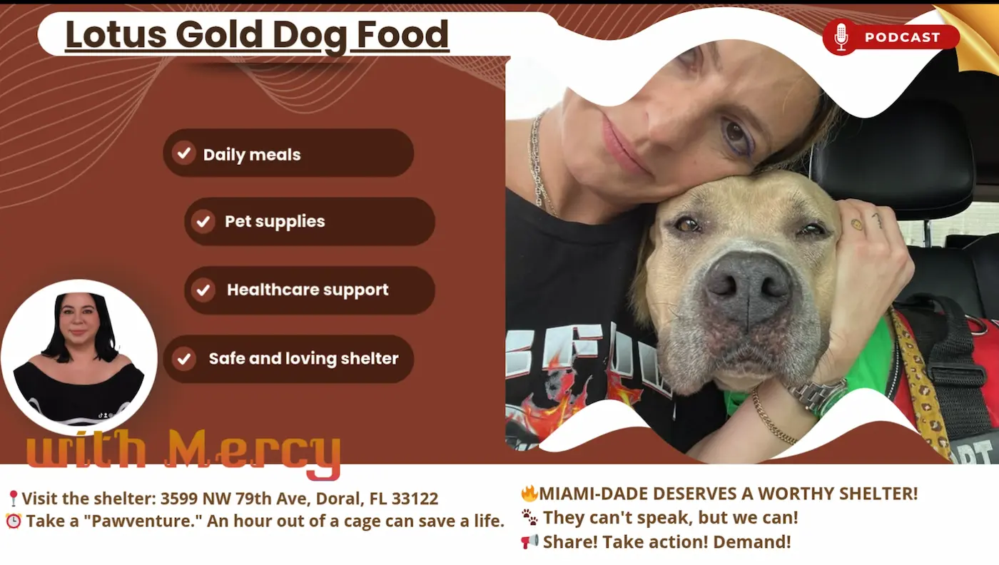 TDOS AÑOS EN UNA JAULA 2025: EL SILENCIO CRIMINAL DEL CONDADO MIAMI-DADE CON LOS ANIMALESTWO YEARS IN A CAGE 2025: THE CRIMINAL SILENCE OF MIAMI-DADE COUNTY TOWARDS ANIMALS