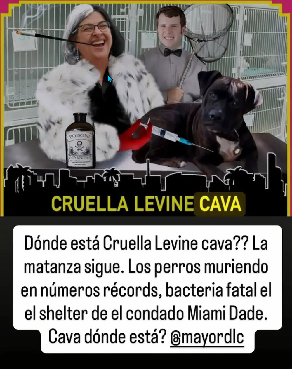 Esfuerzos de Recall Contra la Alcaldesa Daniella Levine Cava 2025 – SHOCKING verdades y el plan definitivo