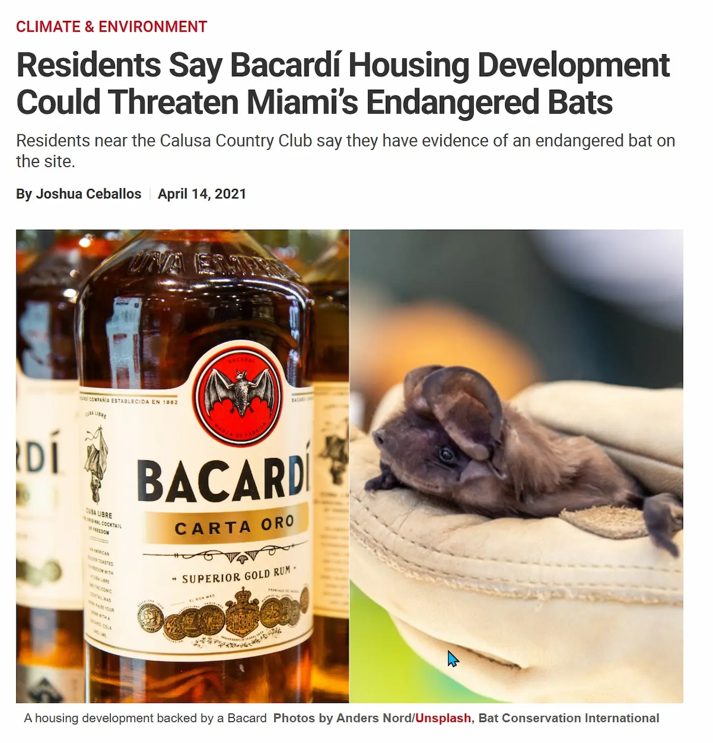 savecalusa