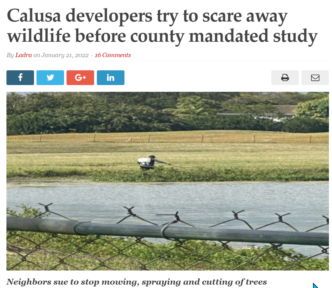 savecalusa